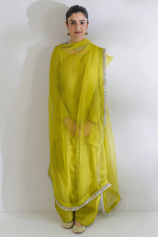 Parrot MK Suit 5 Days Stitching 50% Advance Payment